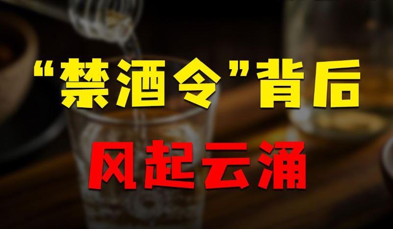 杭州禁酒令对名酒回收价格的深度影响：短期冲击与长期结构性变革